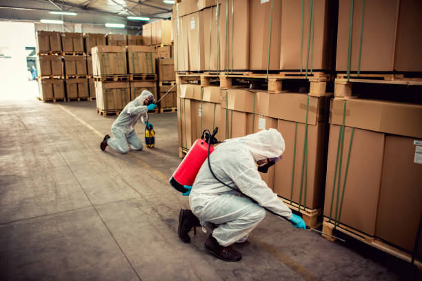 Best Residential Pest Control  in Dysart, IA