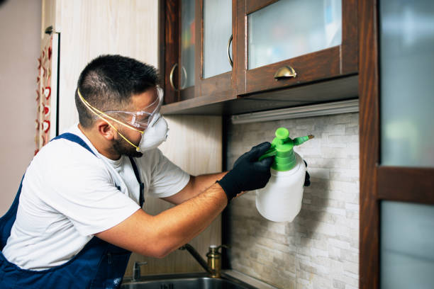 Best Pest Prevention Services  in Dysart, IA