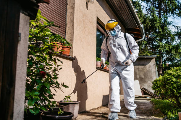 Best Best Pest Control Companies  in Dysart, IA