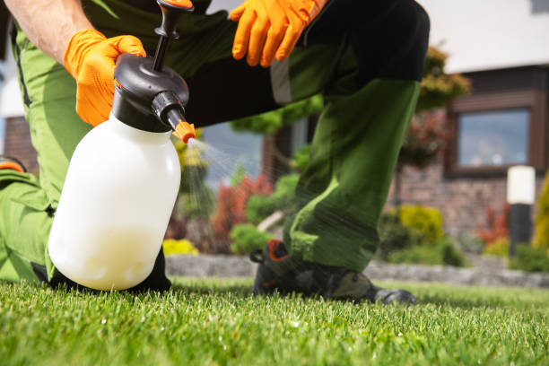 Best Cockroach Control Services  in Dysart, IA